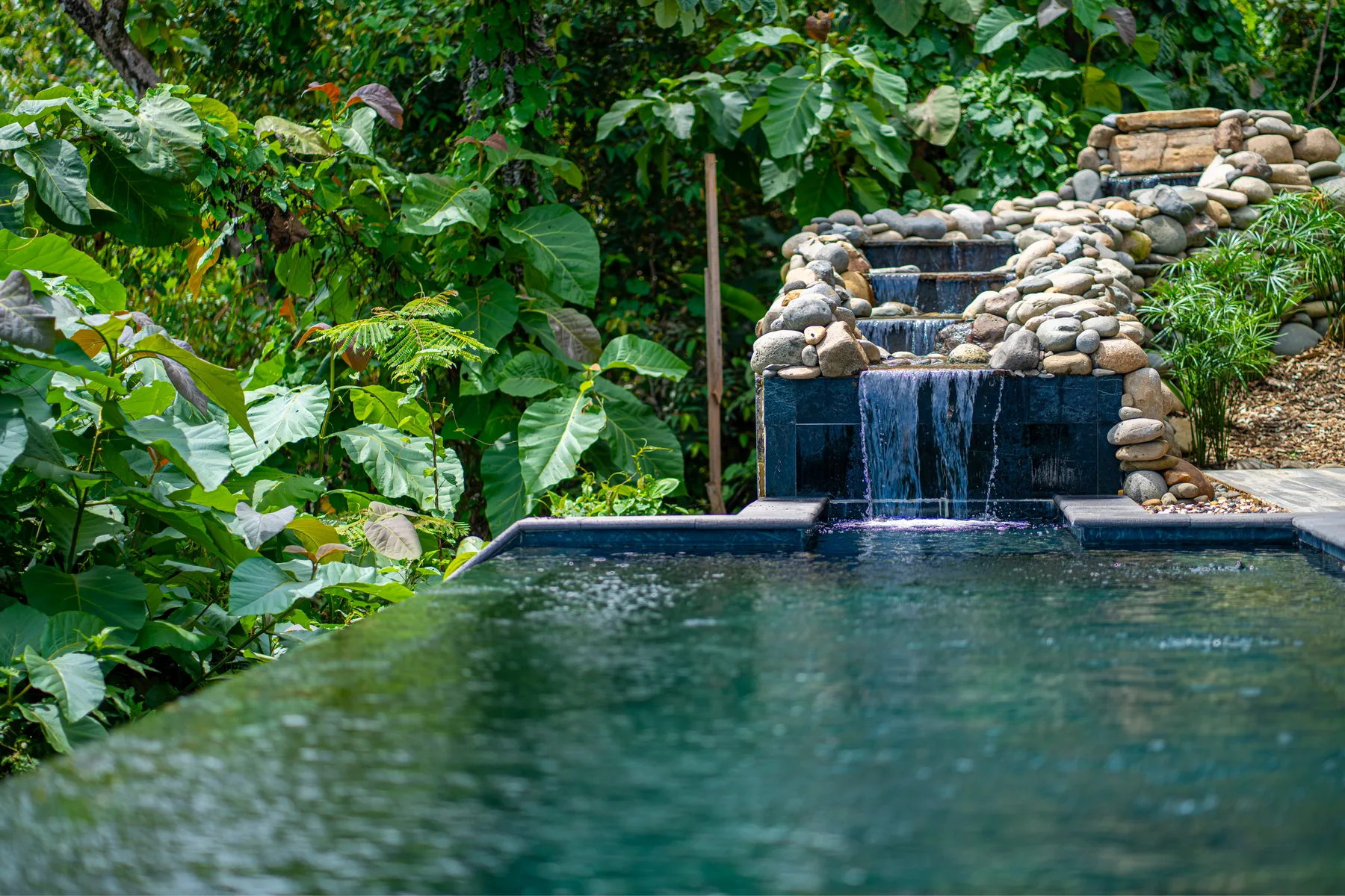 A small pool with water cascading over a stone waterfall amid dense greenery.