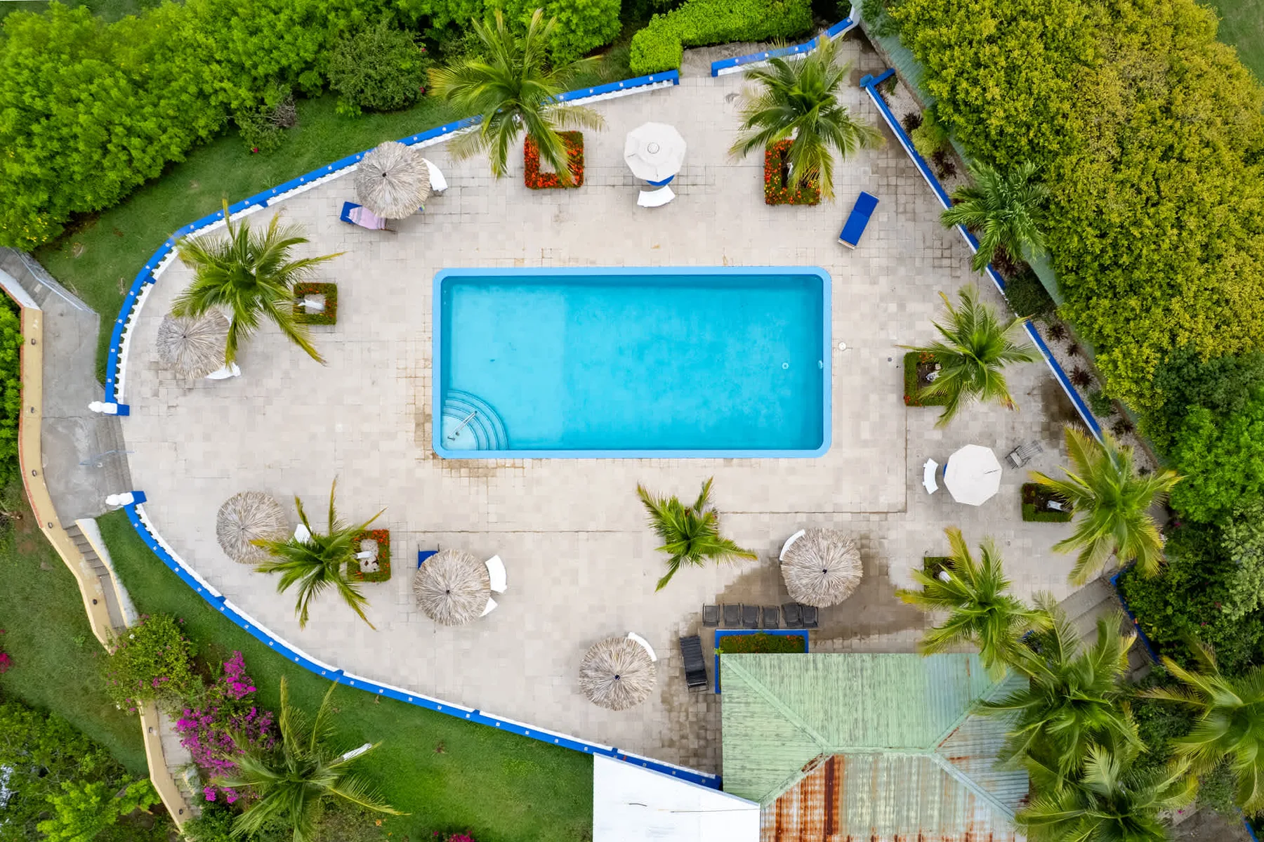 An aerial view of a swimming pool surrounded by a paved patio and palm trees.