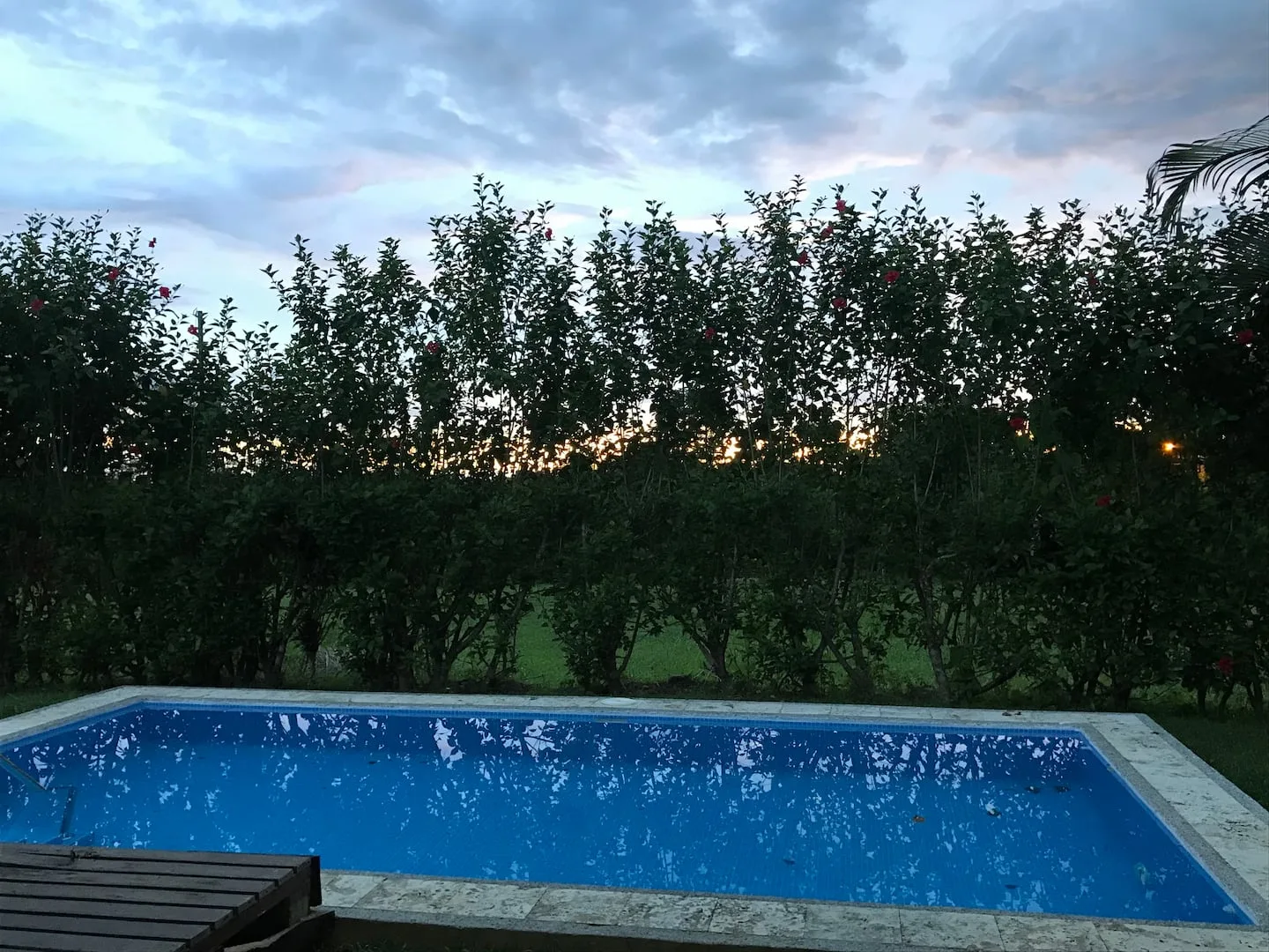 An outdoor swimming pool sits in front of a leafy hedge beneath a cloudy evening sky.