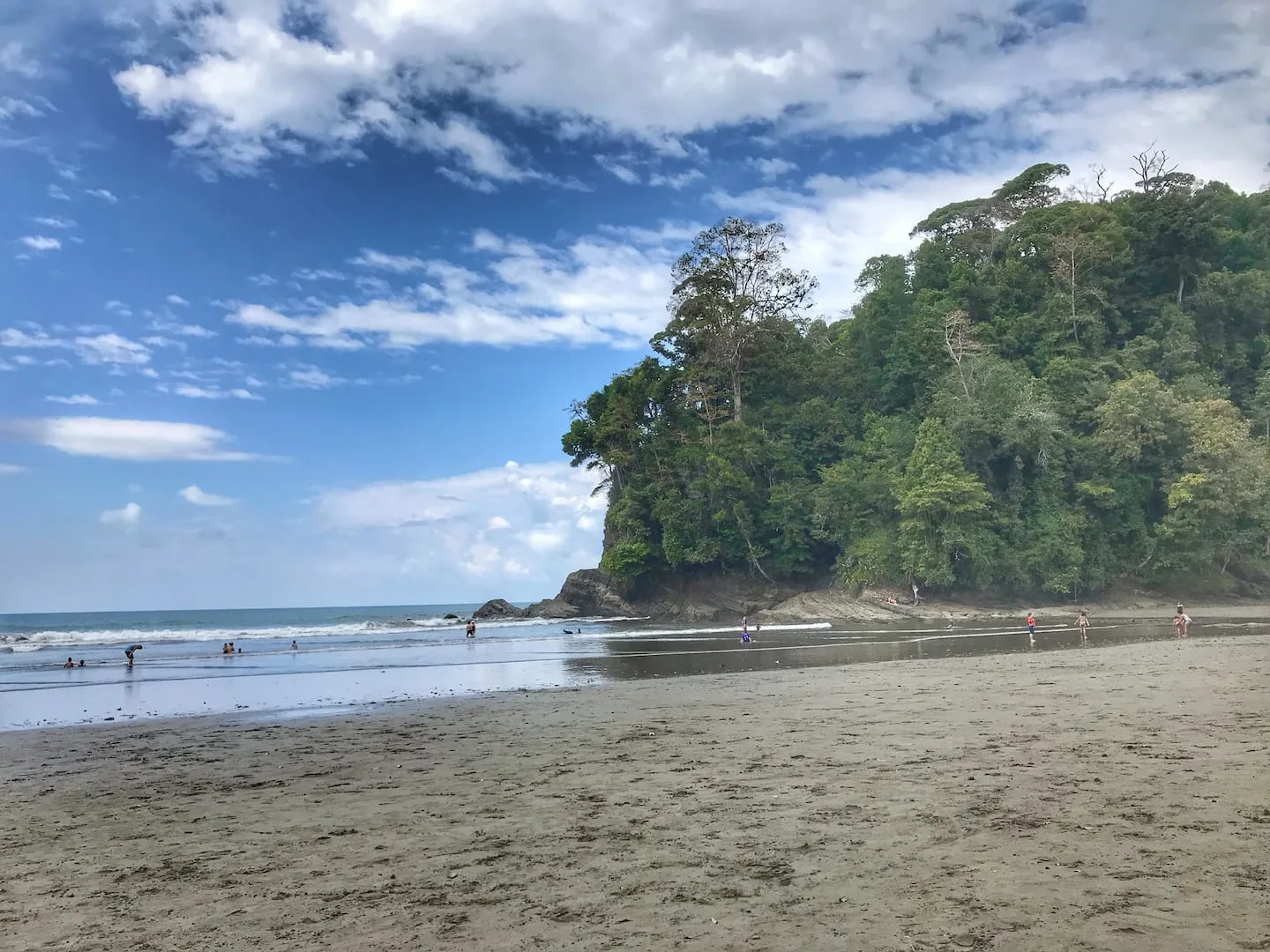 A sandy beach meets calm ocean water beside a densely wooded headland.