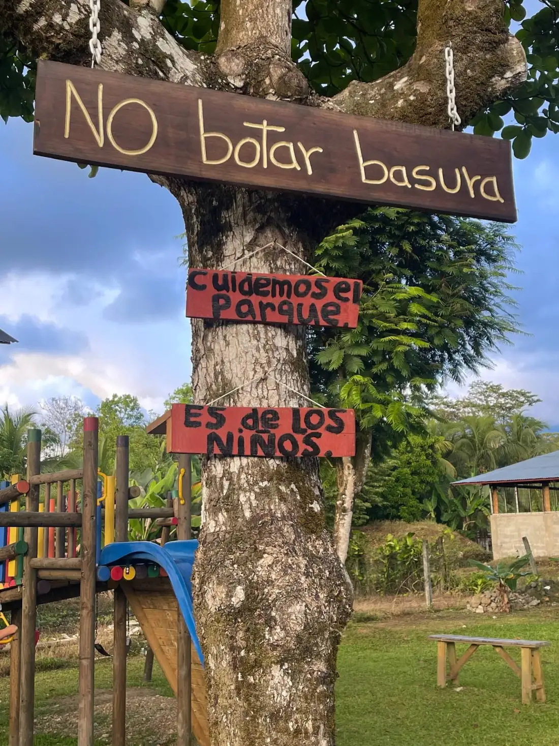 A playground with colorful equipment sits beside a tree bearing signs.