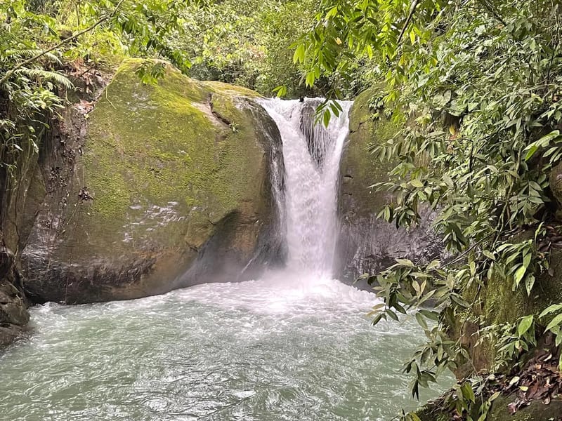 Casa Trogon
