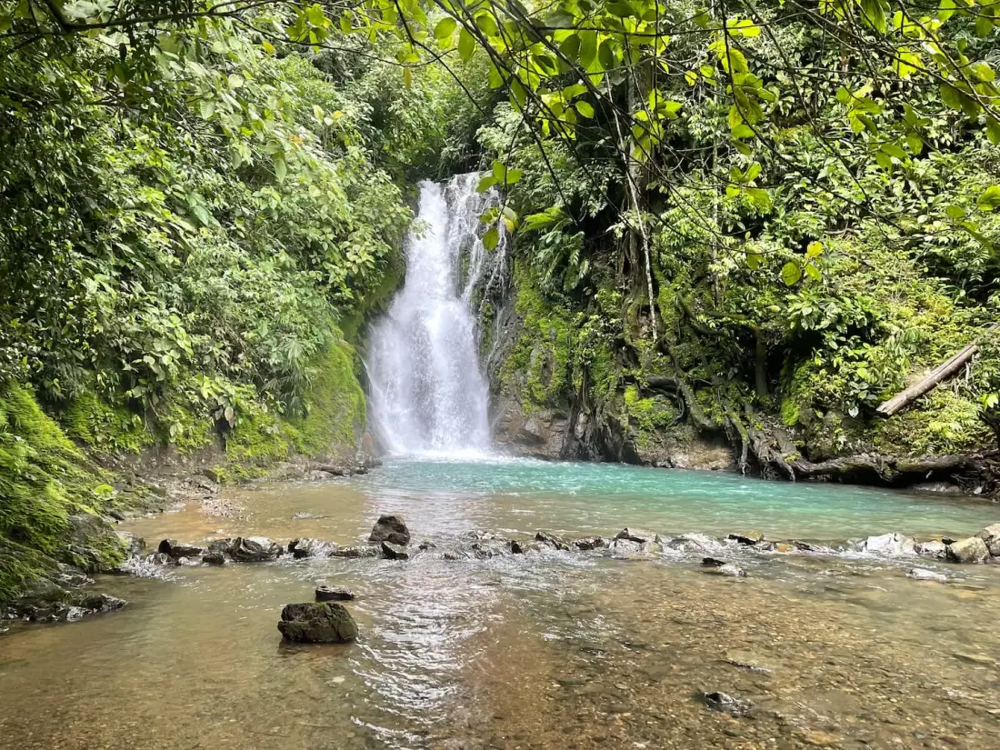 A waterfall flows into a shallow pool surrounded by dense green forest.