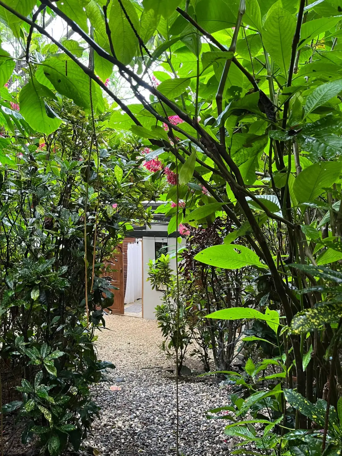 Garden and grounds