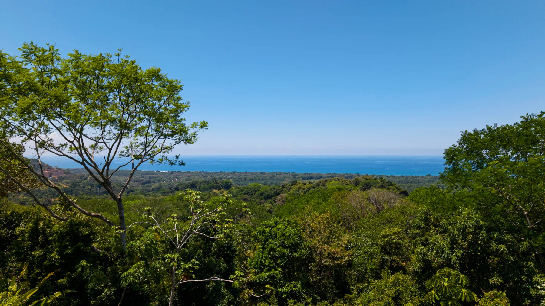A green, wooded landscape stretches toward the blue ocean beneath a clear sky.