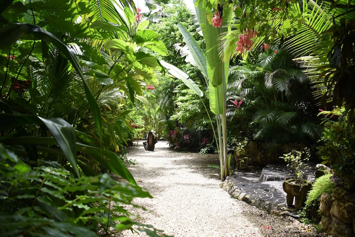Garden and grounds