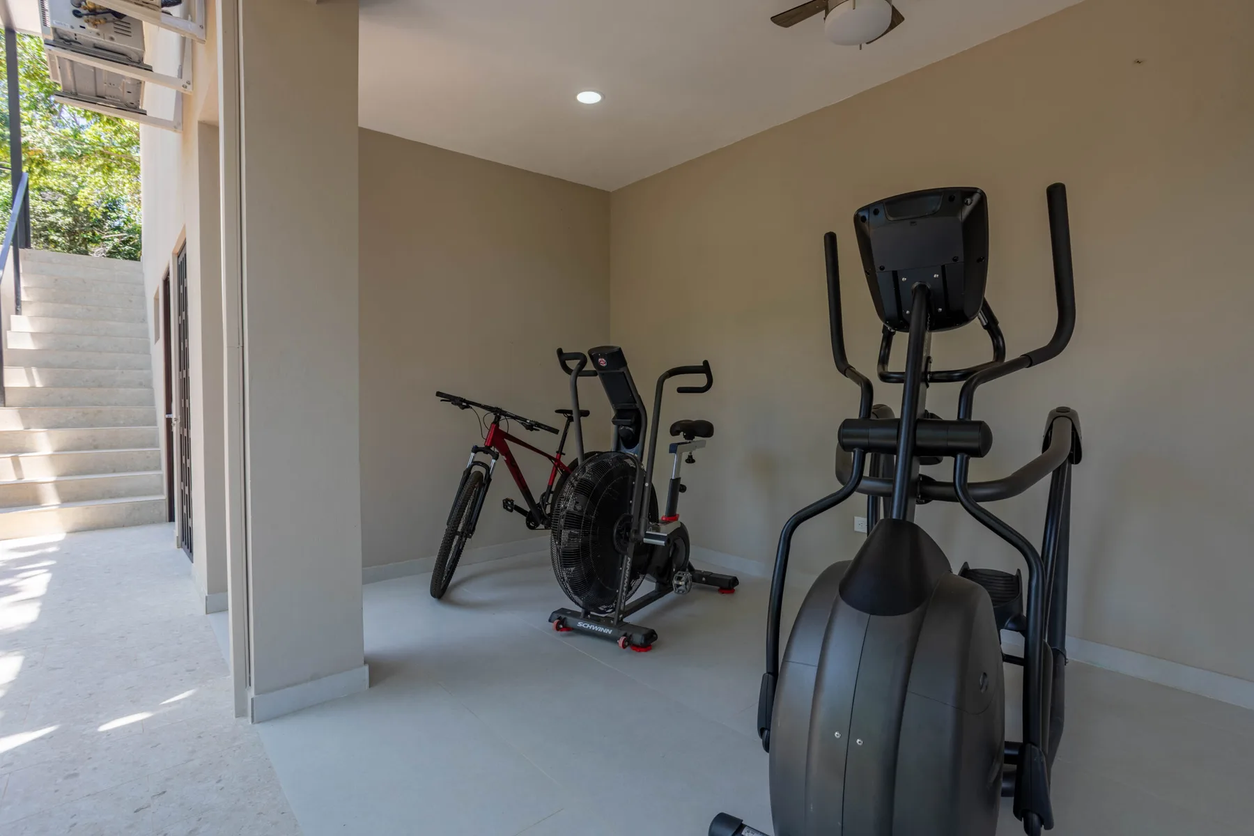 Gimnasio