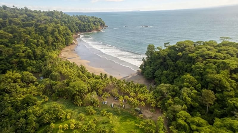 Jungle Oasis Ojochal