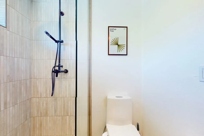 Bathroom shower and toilet