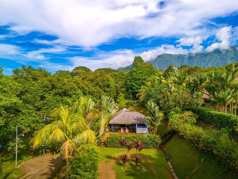 Casita Ballena