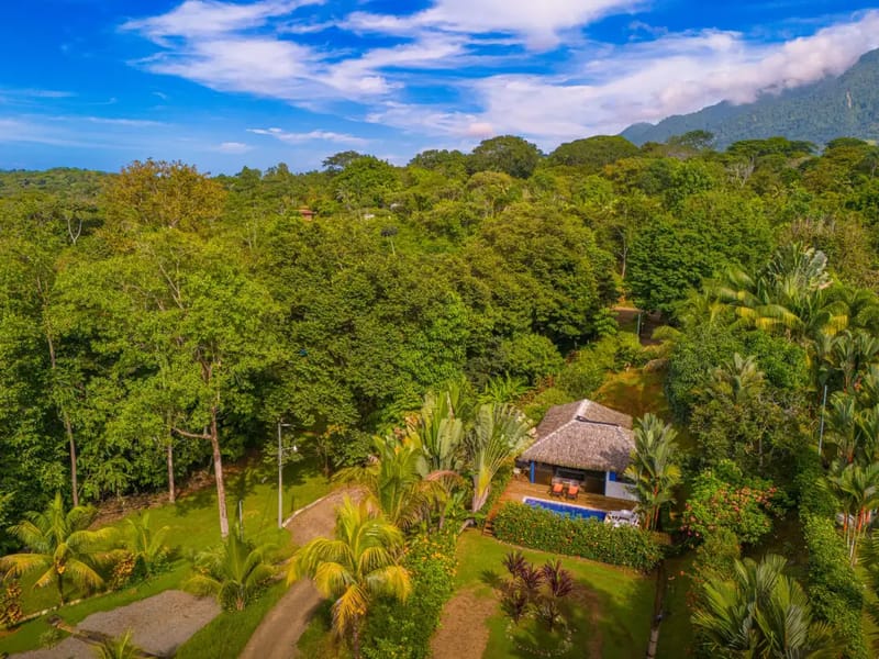 Casita Ballena