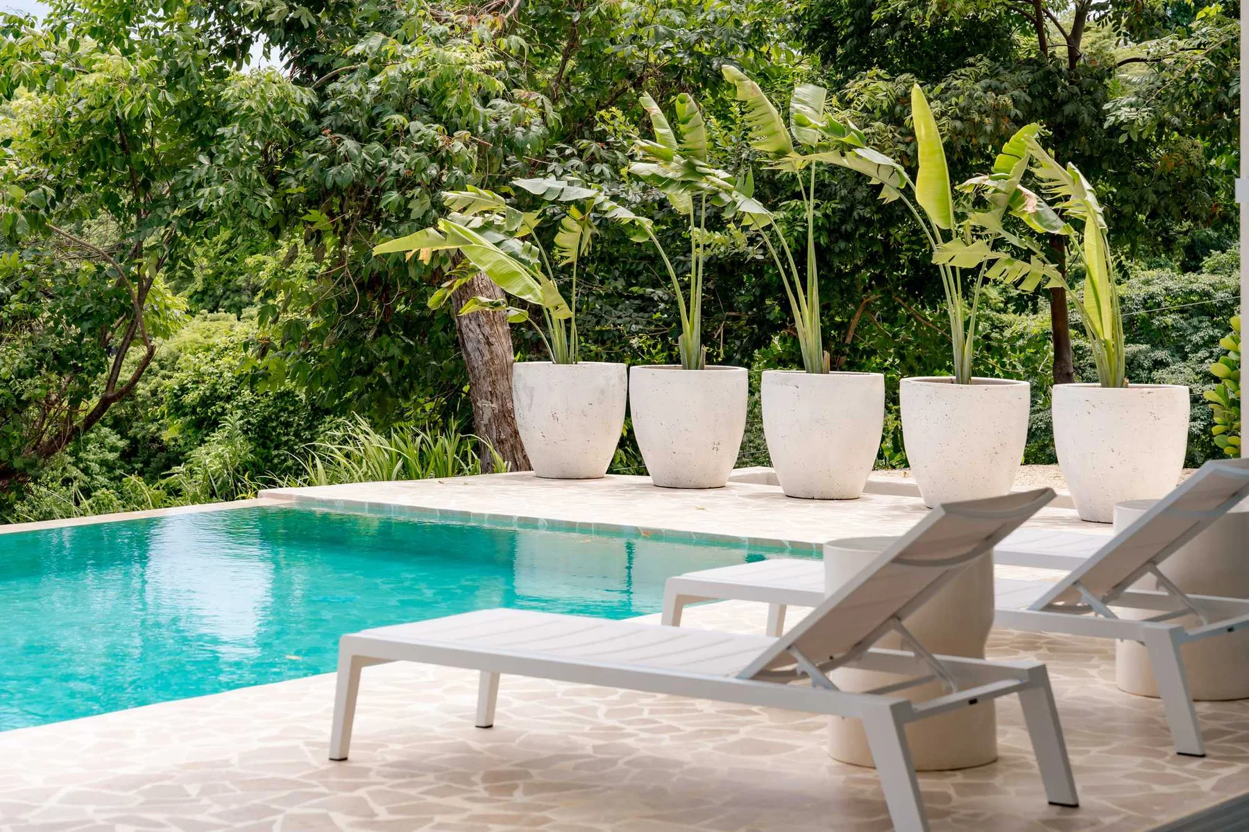 A swimming pool beside a paved deck with reclining loungers and potted plants.