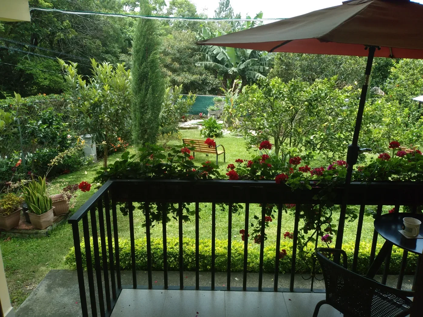 Garden view from the terrace