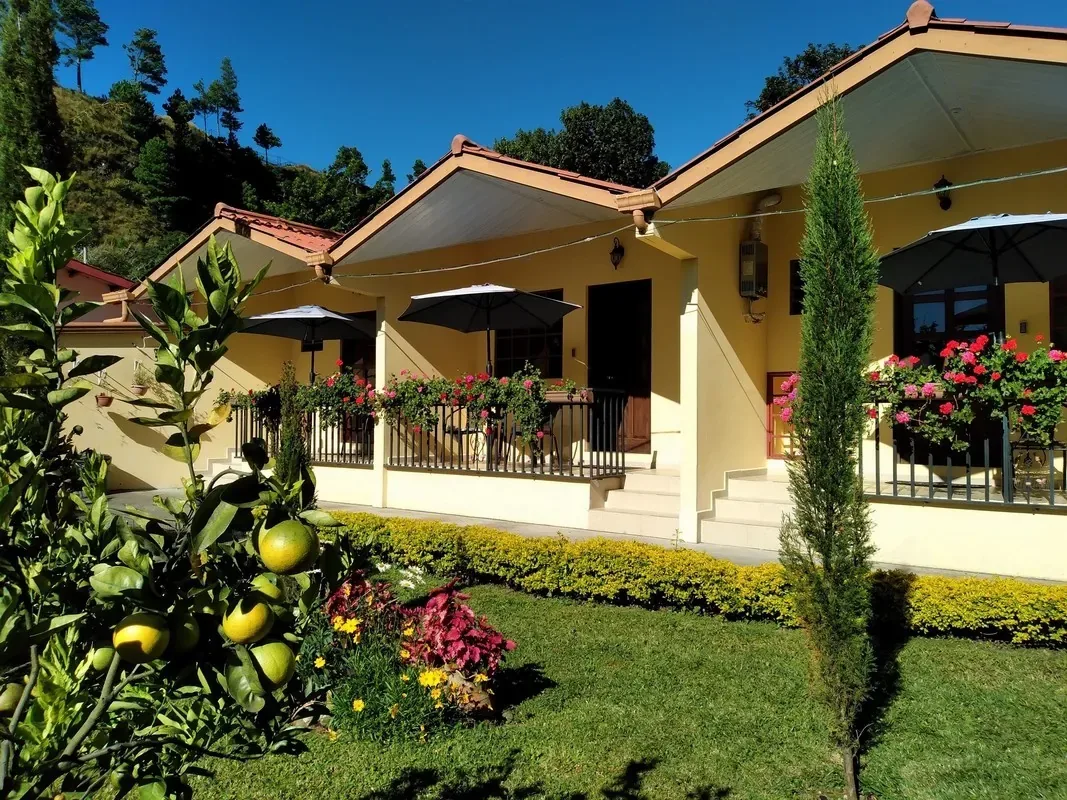 The four garden apartments and their terraces