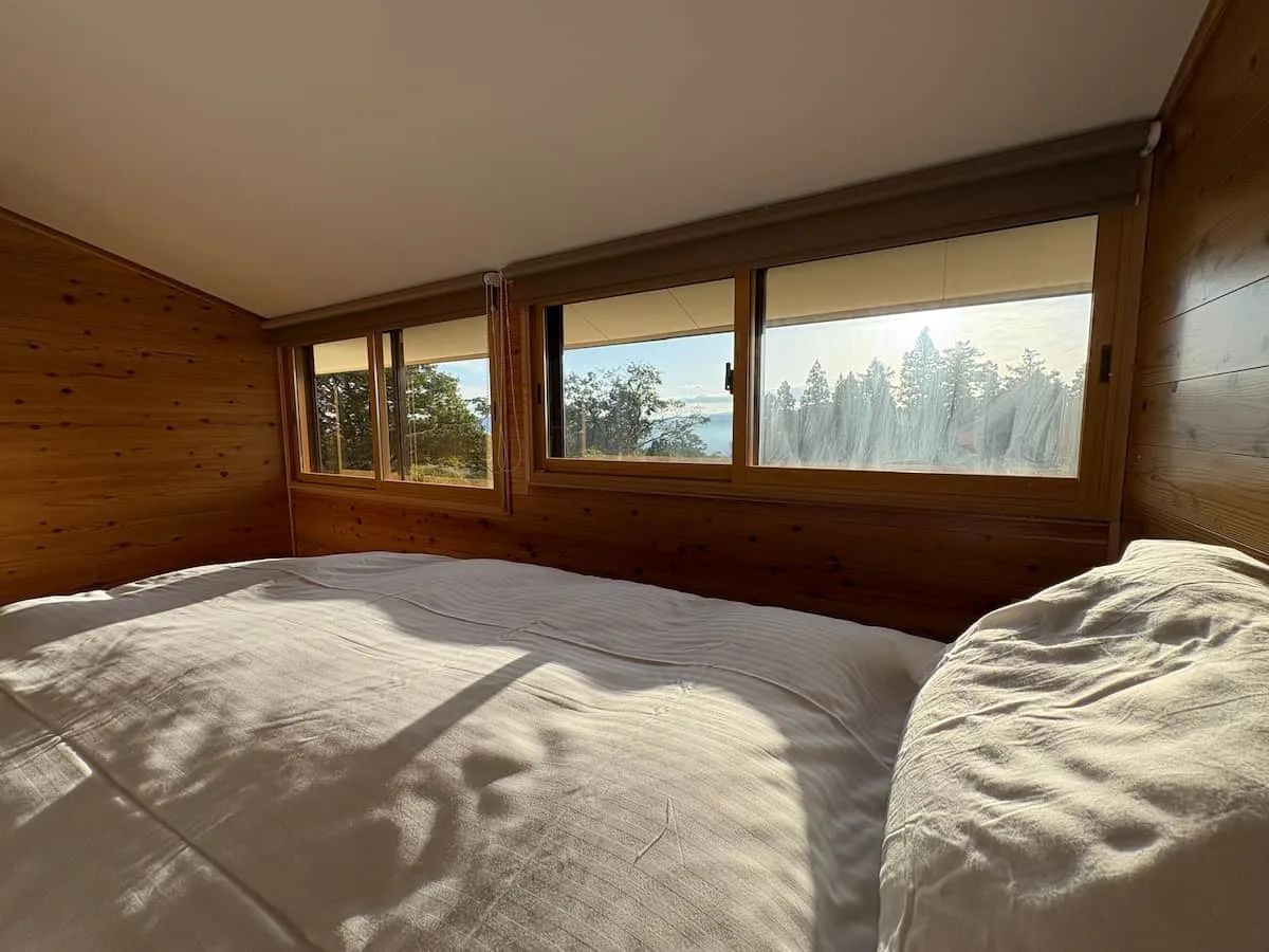 Bedroom with view