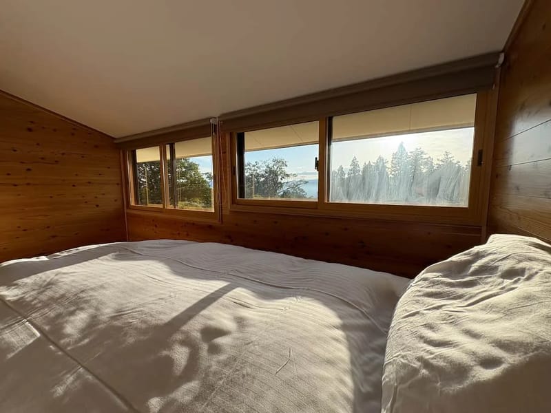 Bedroom with view
