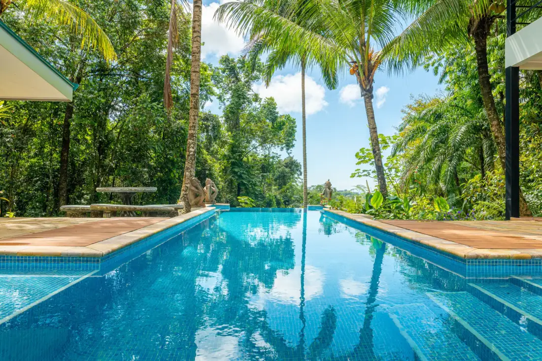 Private pool in the jungle