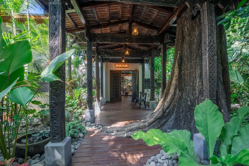 Oasis de Vida · 2