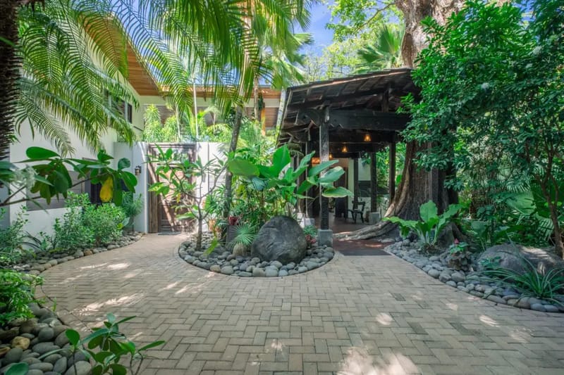 Oasis de Vida · 6