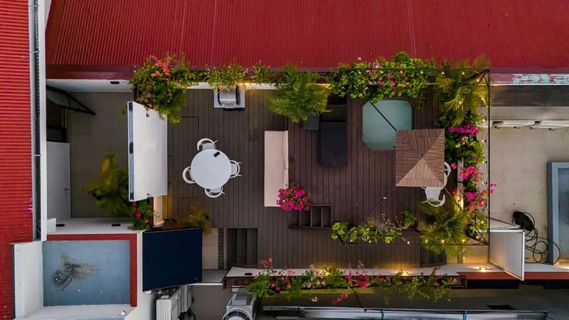 The Stallion by AcoModo @Casco Viejo-Top Location