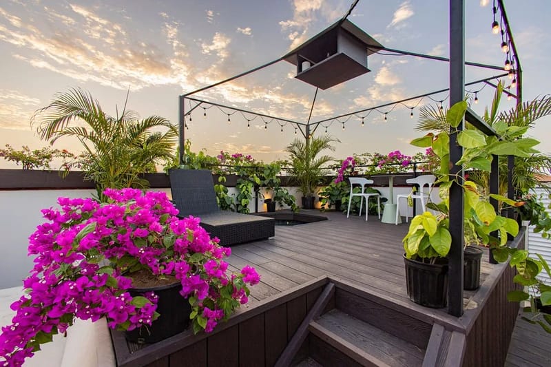 The Stallion by AcoModo @Casco Viejo-Top Location
