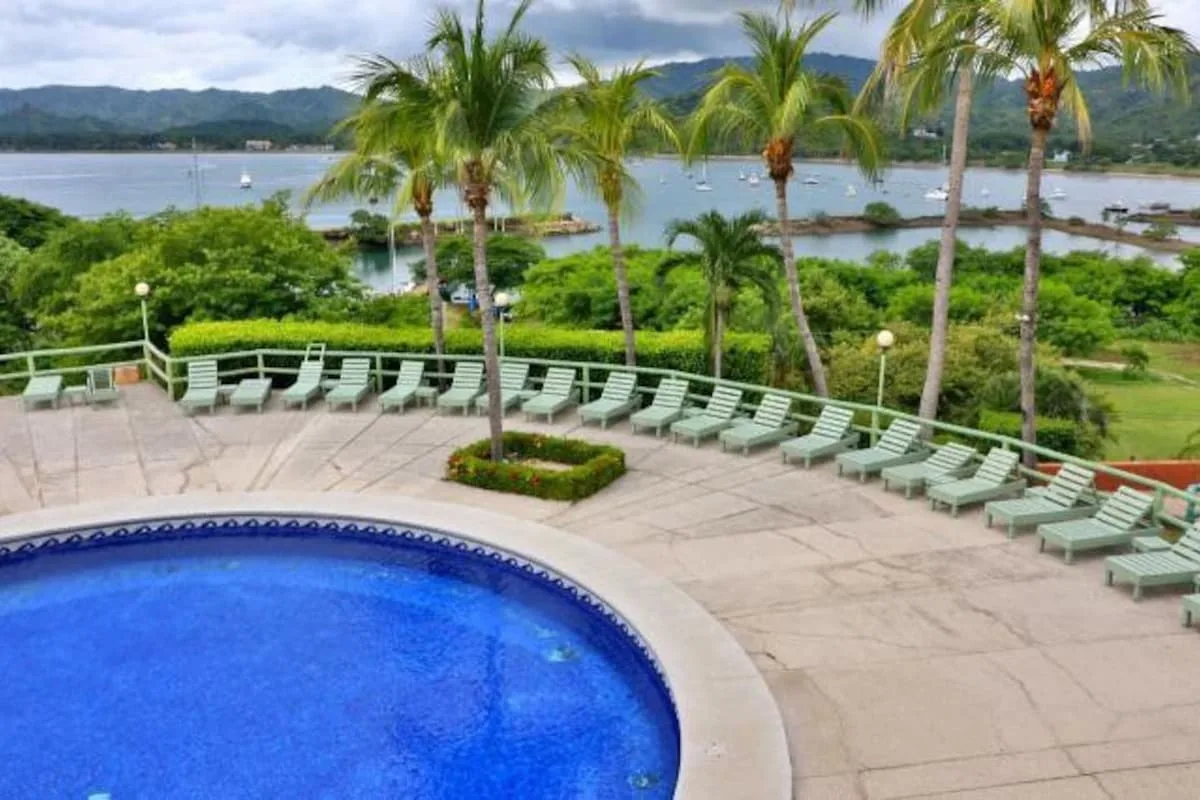 An outdoor swimming pool overlooks palm trees, green loungers, and a bay.