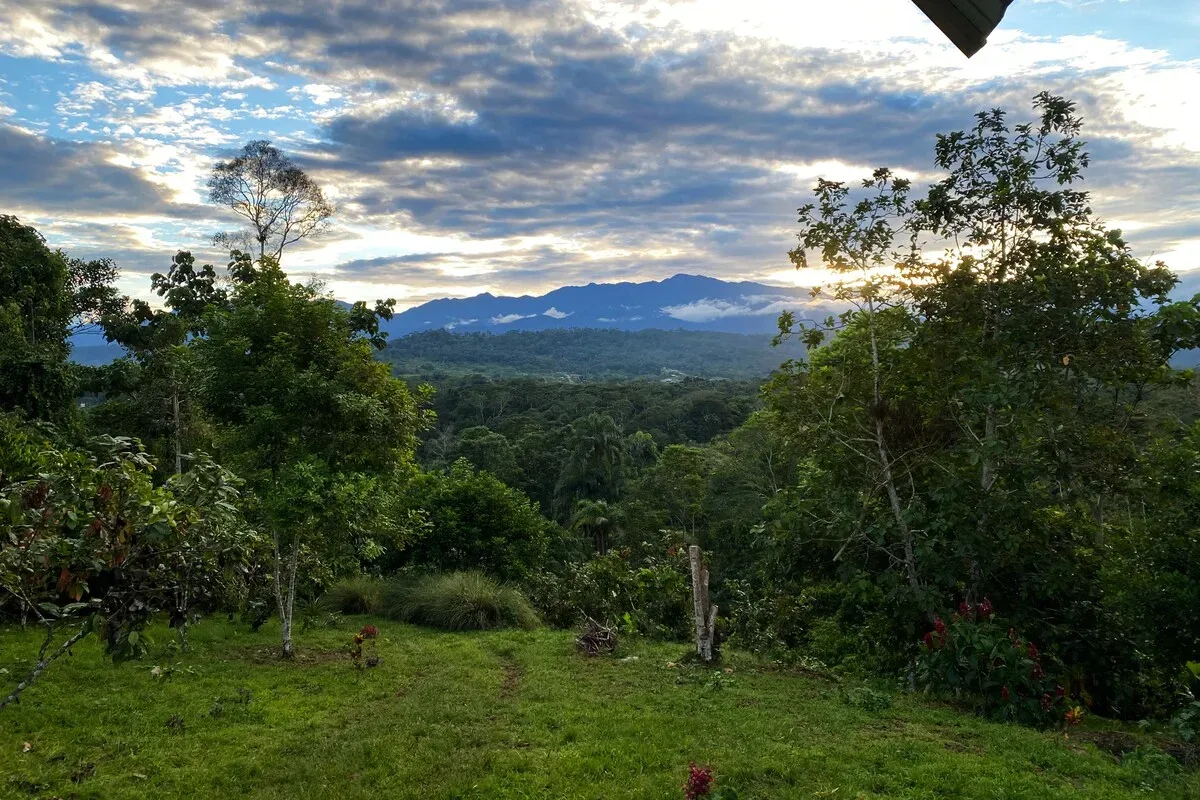 Vistas al jardín y al bosque