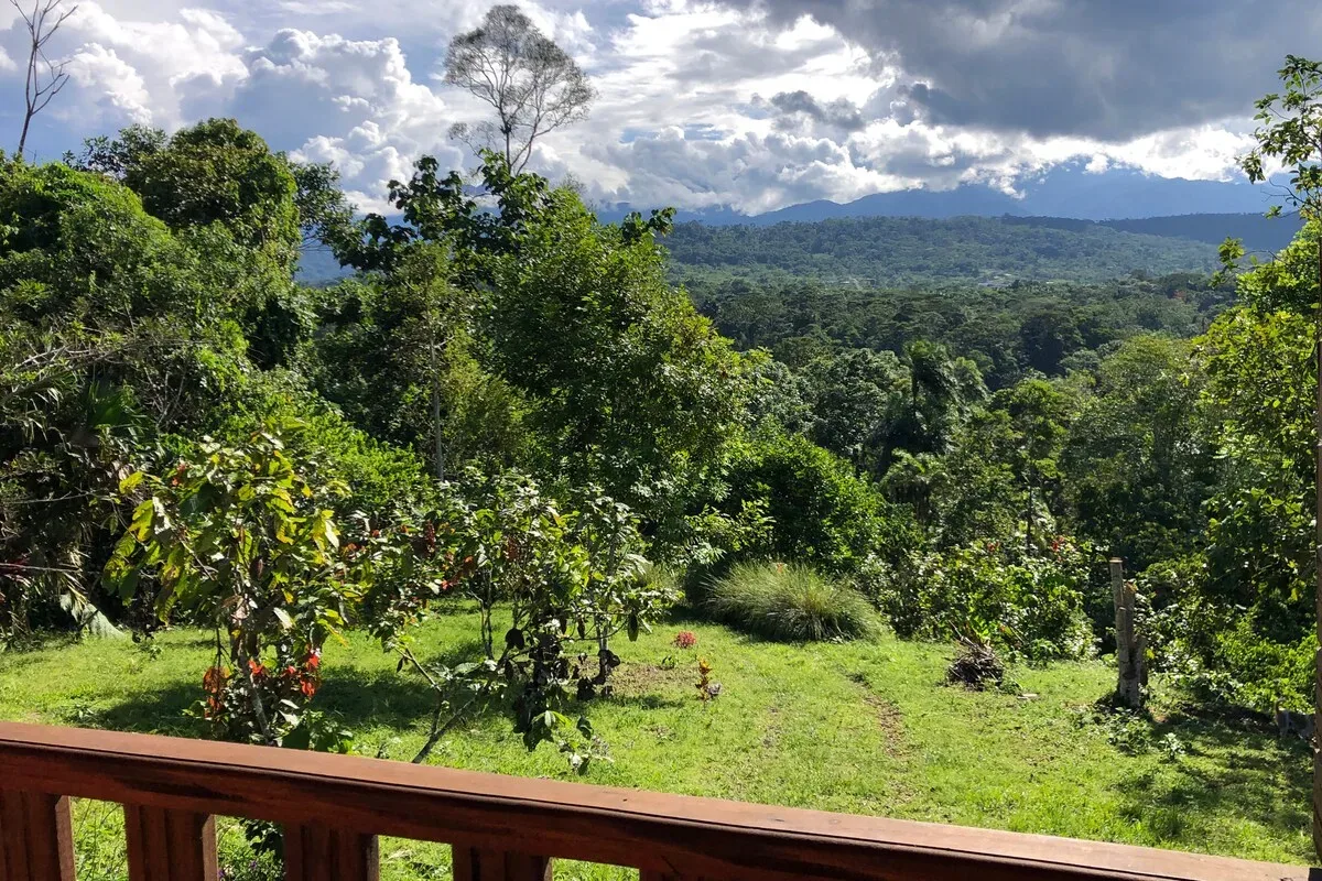 Vista desde el balcón