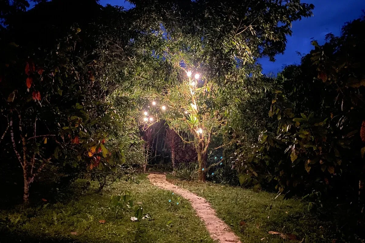 Sendero iluminado del jardín de noche