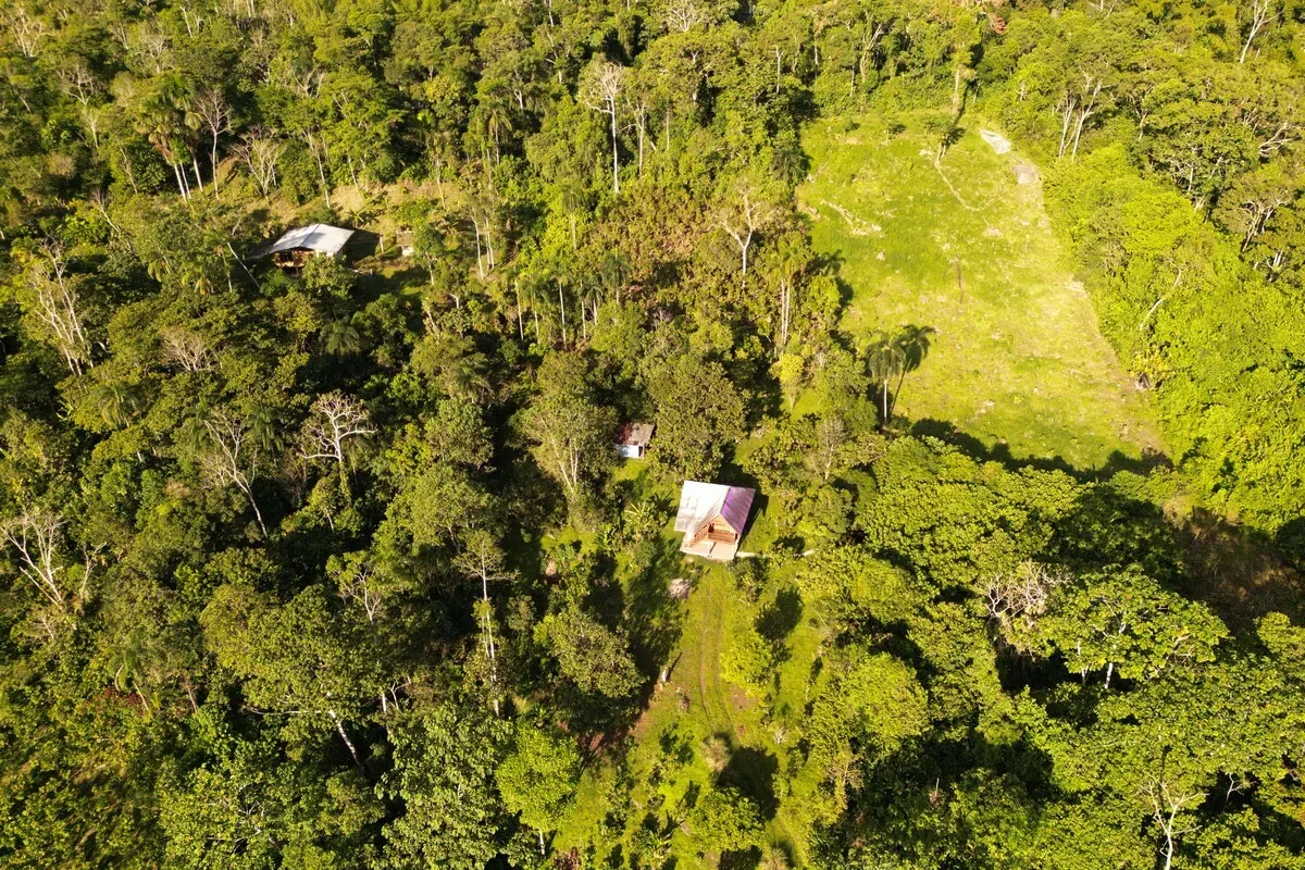 Vista aérea de la propiedad arbolada