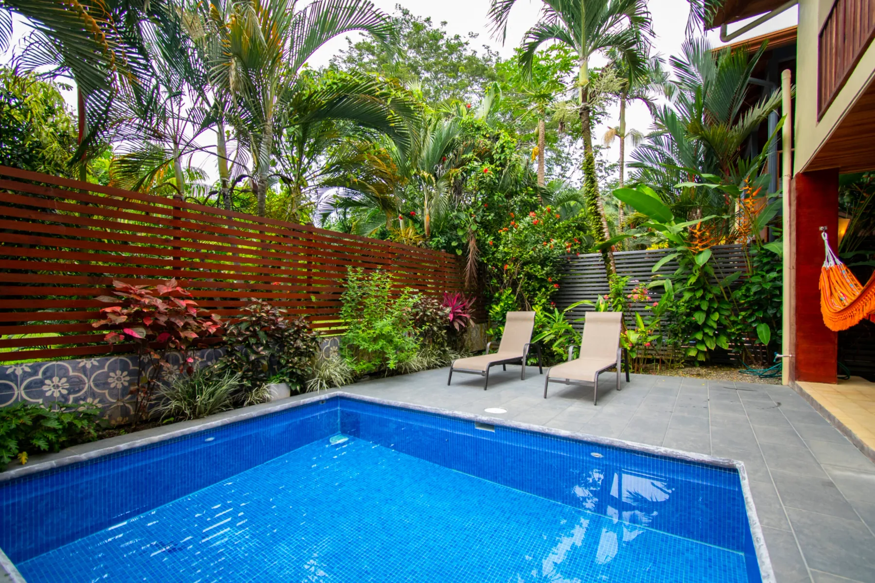An outdoor swimming pool sits beside lounge seating and lush tropical plants.