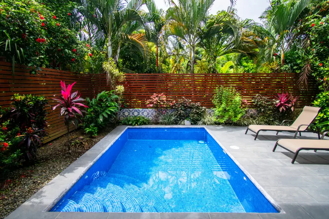 A small outdoor pool sits beside a paved patio surrounded by tropical plants.