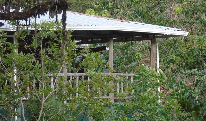 Centro Ecológico Montaña Verde