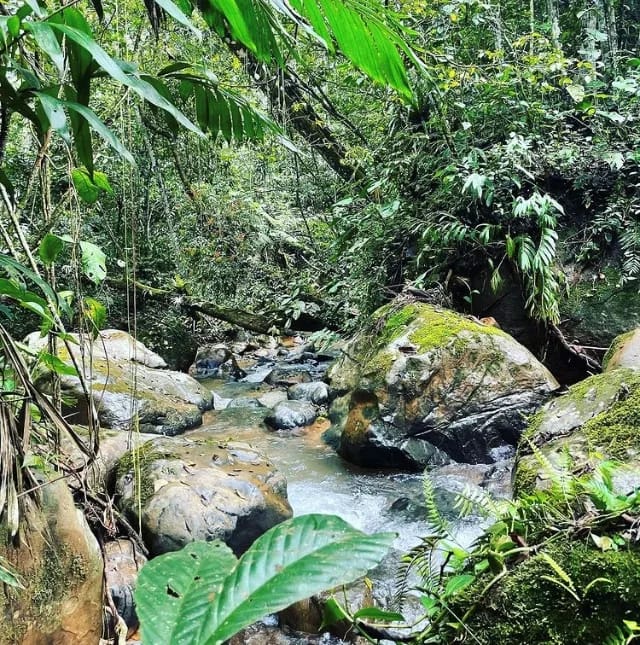 Centro Ecológico Montaña Verde