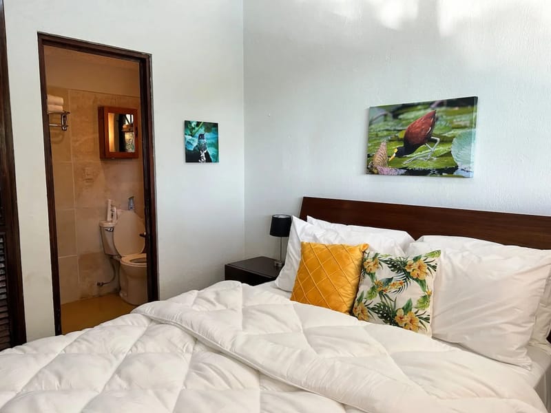 Casa Rana Verde