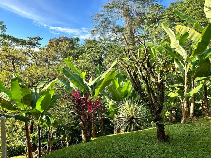 Casa Rana Verde