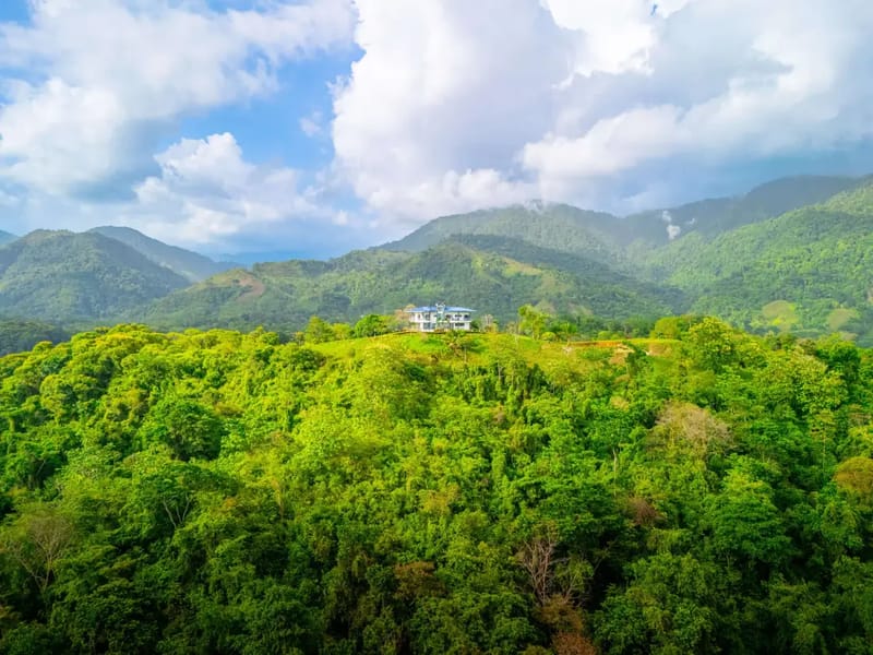 Eden Estate