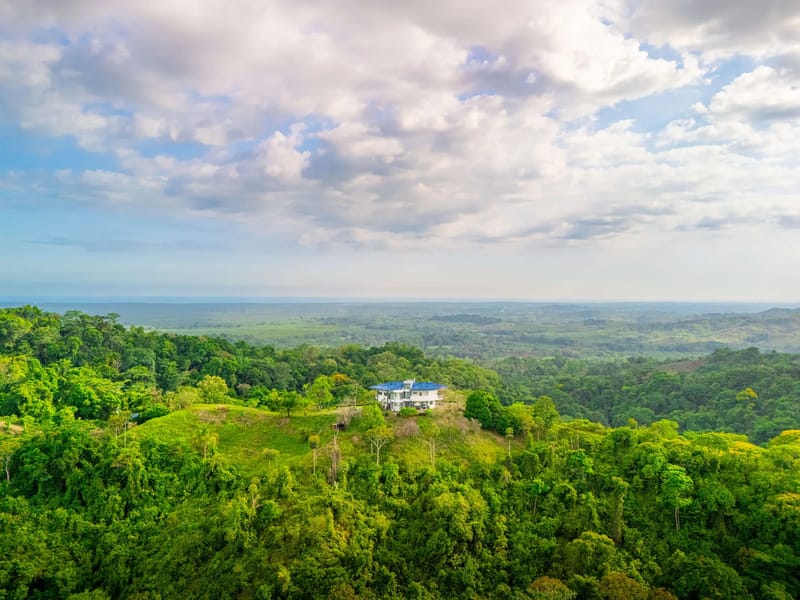Eden Estate