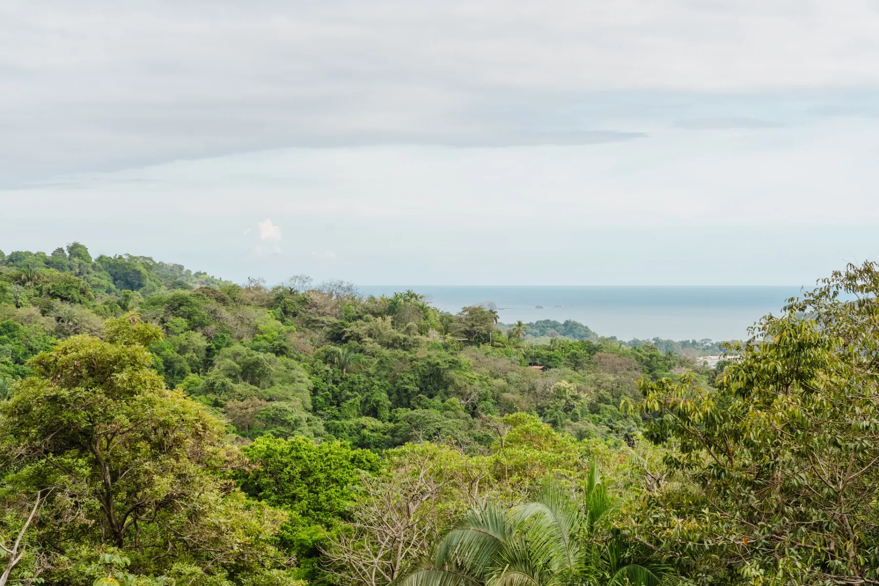 Casa Blue Wind · 20. A panoramic view reveals a dense green jungle landscape meeting the blue ocean under a cloudy sky.