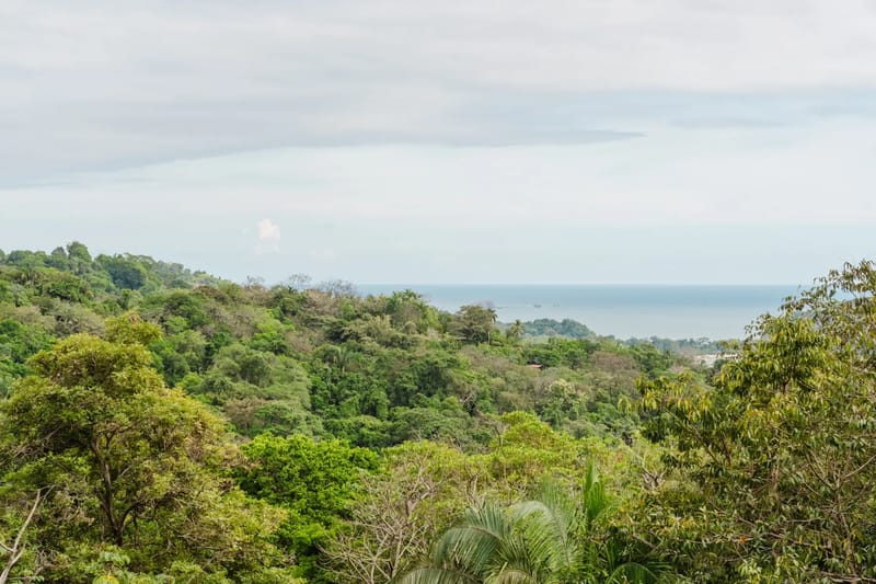 Casa Blue Wind · 20. A panoramic view reveals a dense green jungle landscape meeting the blue ocean under a cloudy sky.