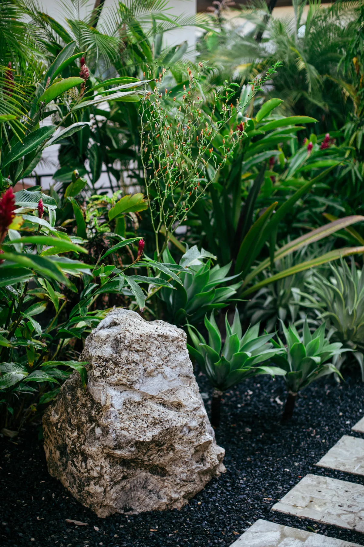 Tropical garden at Mother Earth