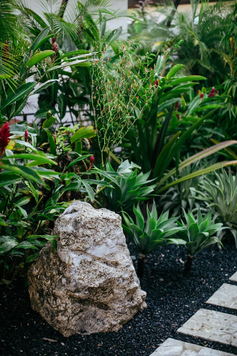 Tropical garden at Mother Earth