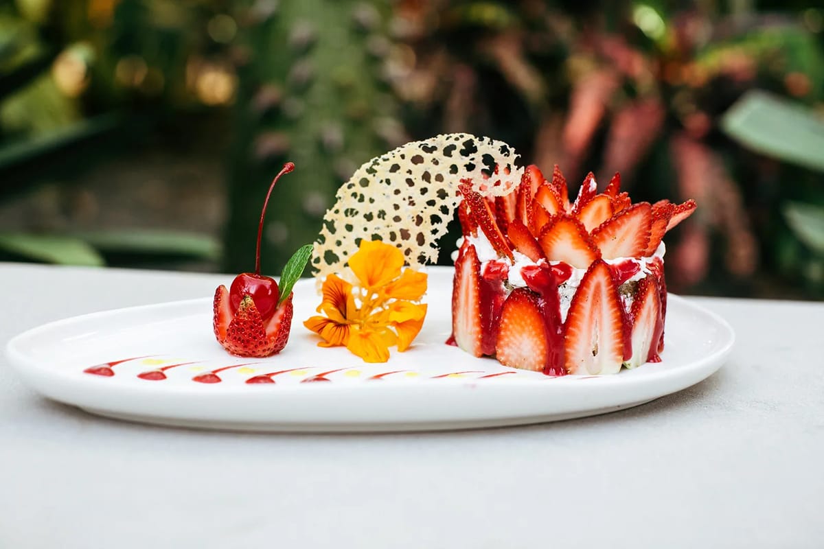 Plant-based cuisine at Mother Earth