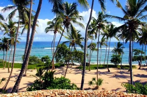 CA-03 — Orchid Bay Estates Beachfront Villa