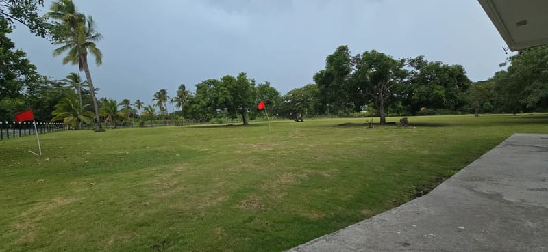 Open lawn and grounds