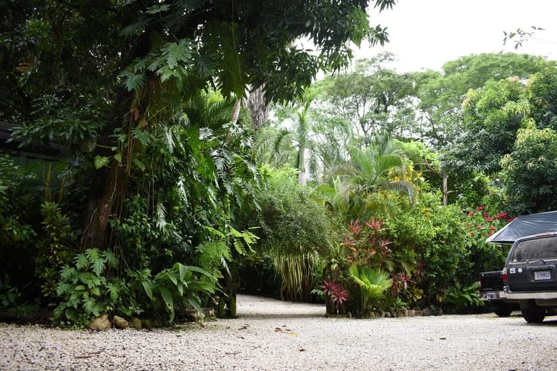 Garden and grounds