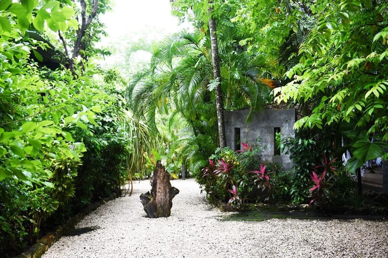 Garden and grounds