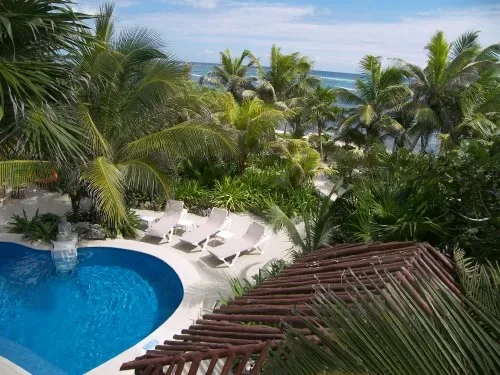 A swimming pool and lounge seating sit among palm trees beside the ocean.