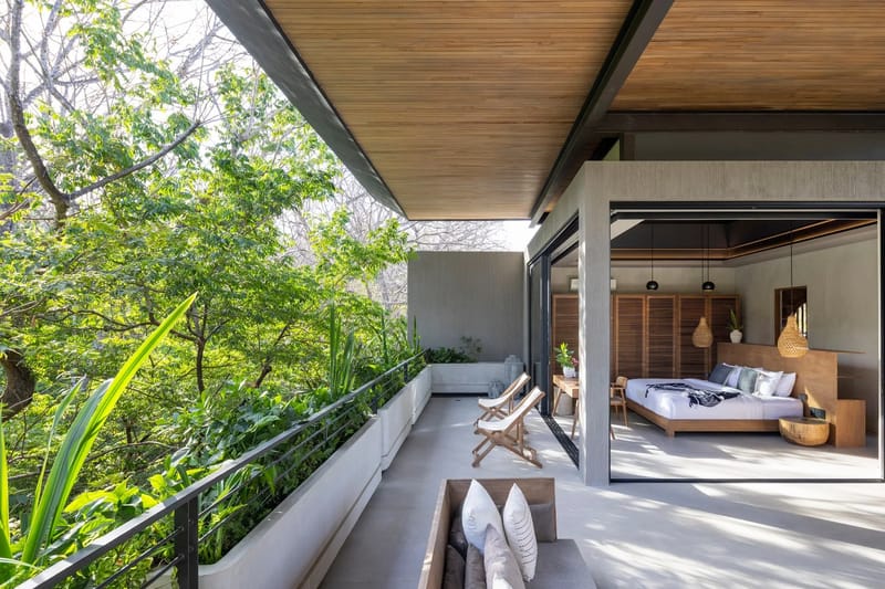 Quin | Jungle House A · 3