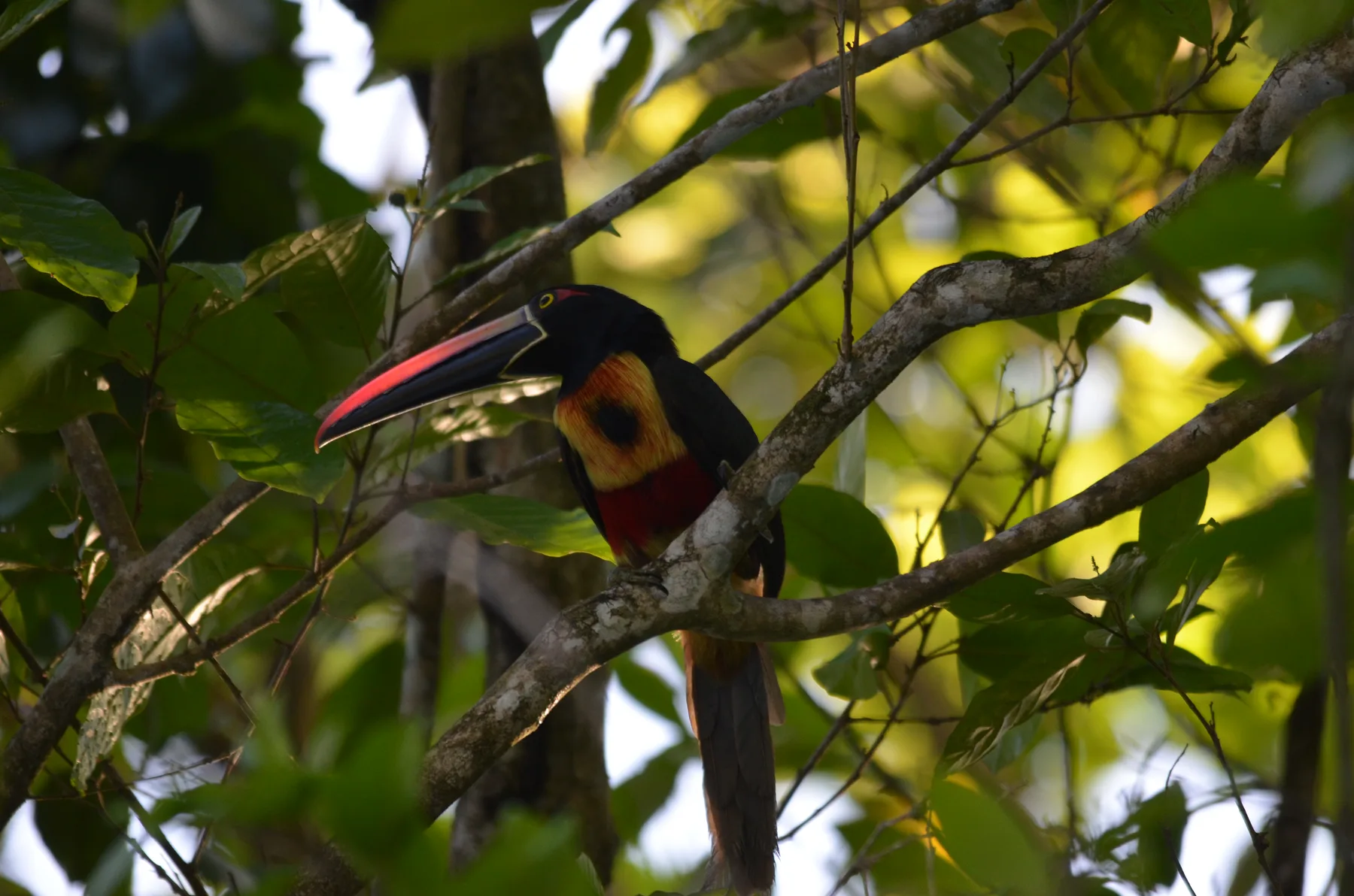 Vista Cascada